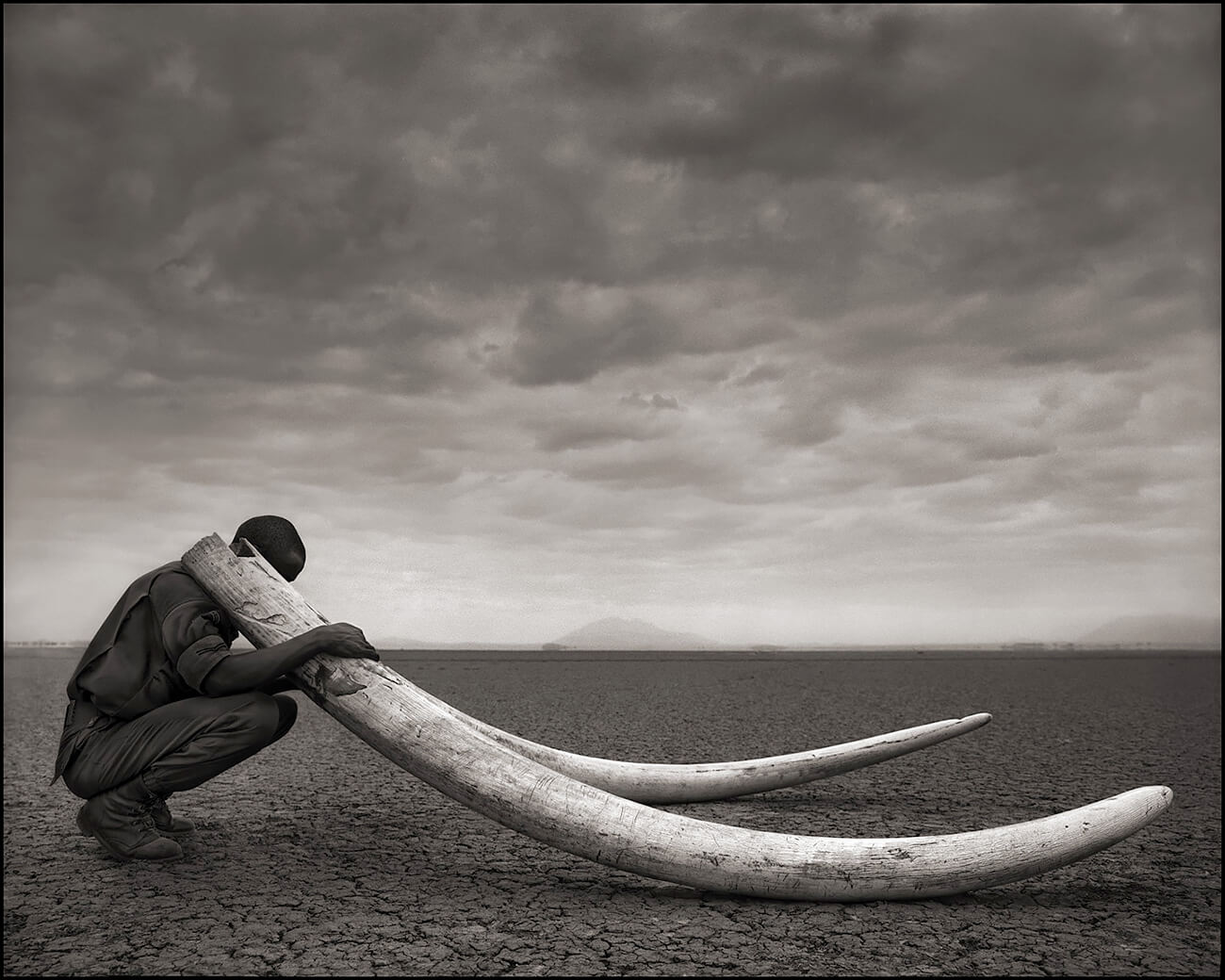 Accross the Ravaged Land - Ranger with Dusks of killed Elephant, Amboseli<p>© Nick Brandt</p>