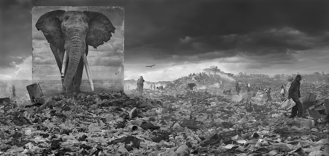Inherit the Dust - Wasteland with Elephant<p>© Nick Brandt</p>