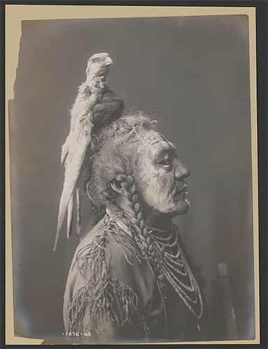 Two Whistles-Apsaroke 1908 ©Library of Congress, Prints & Photographs Division, Edward S. Curtis Collection<p>© Edward S. Curtis</p>