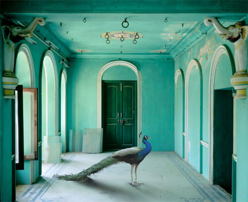 The Queen’s Room, Zenana, Udaipur<p>© Karen Knorr</p>