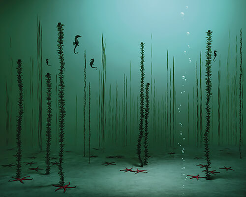 Underwater Garden 2005<p>© Didier Massard</p>