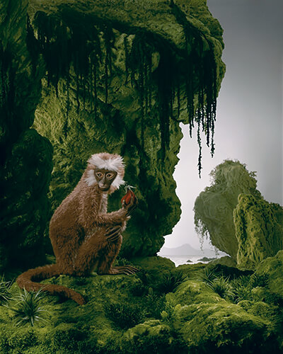 The Monkey 2001<p>© Didier Massard</p>
