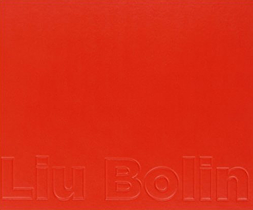 Liu Bolin (French)