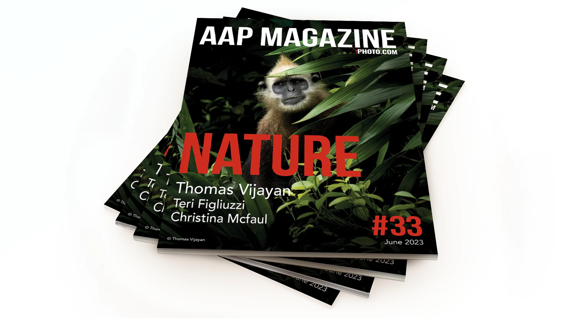 All About Photo Magazine