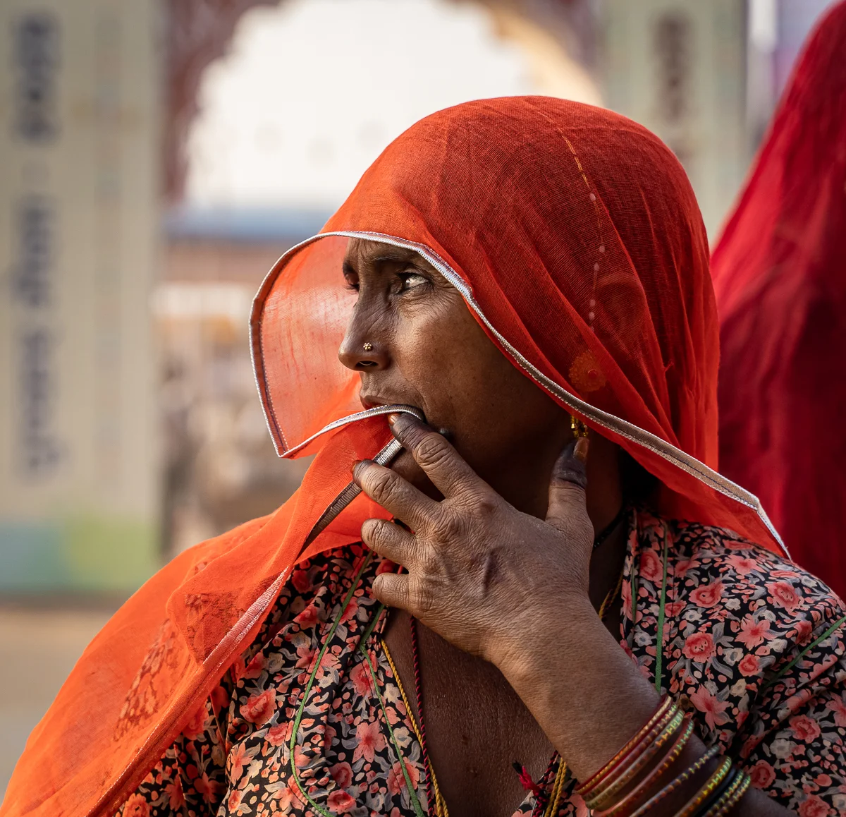 The Veil © Aparna Gautam