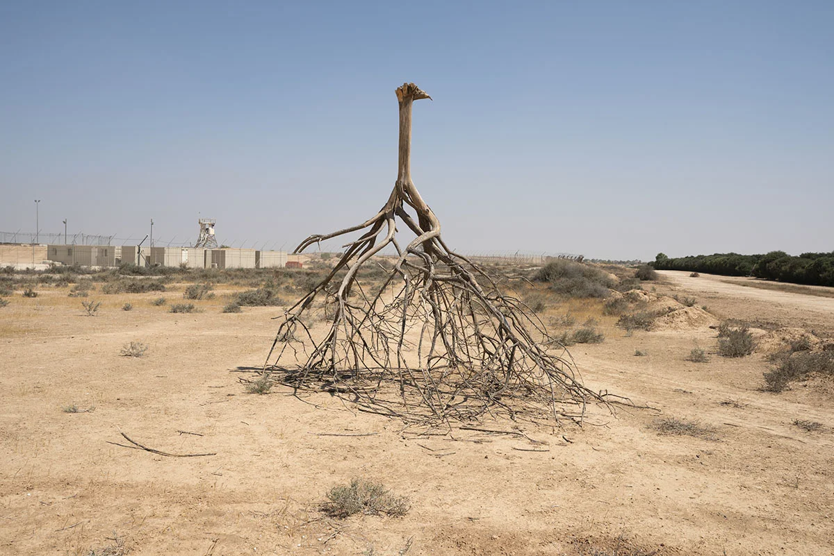 Desert Sculpture © Stanislav Pospelov