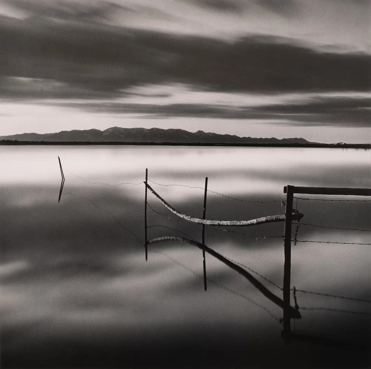 Barbed Fence, Stansbury Island © Bryce Olsen