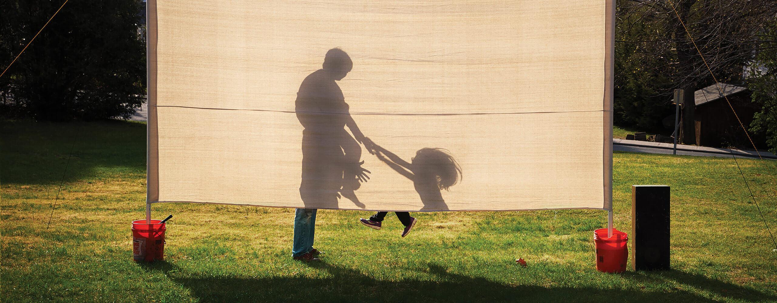 Shadows