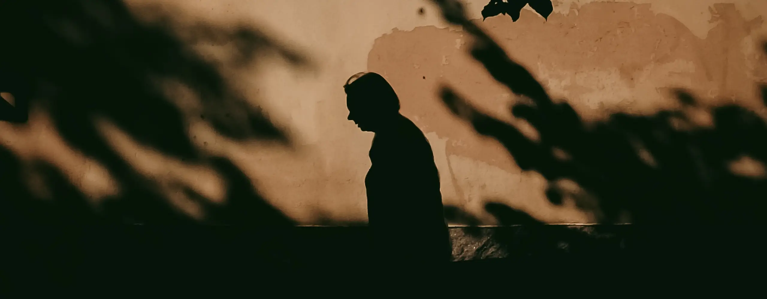 Shadows
