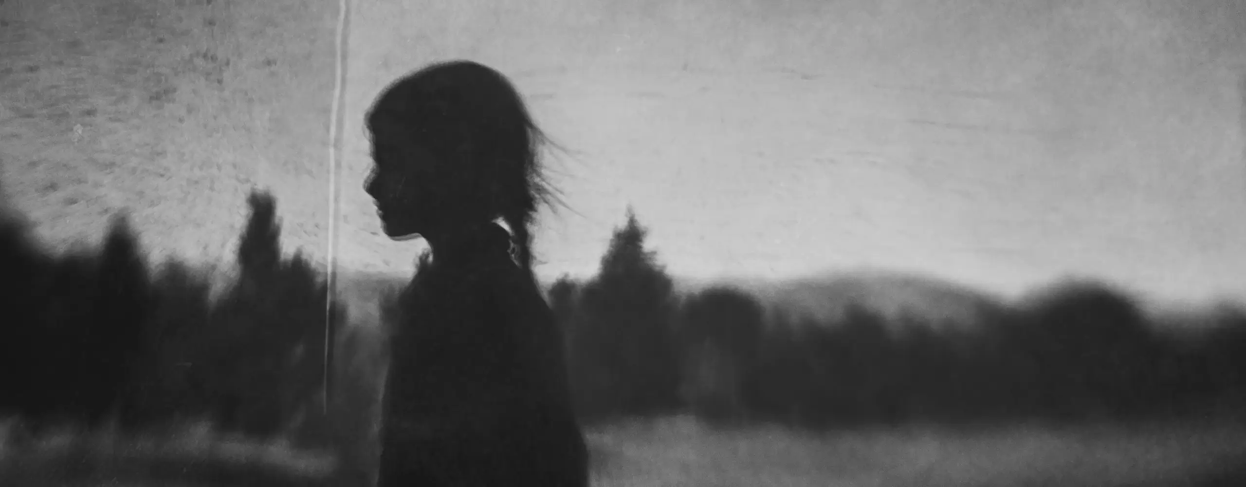 Shadows