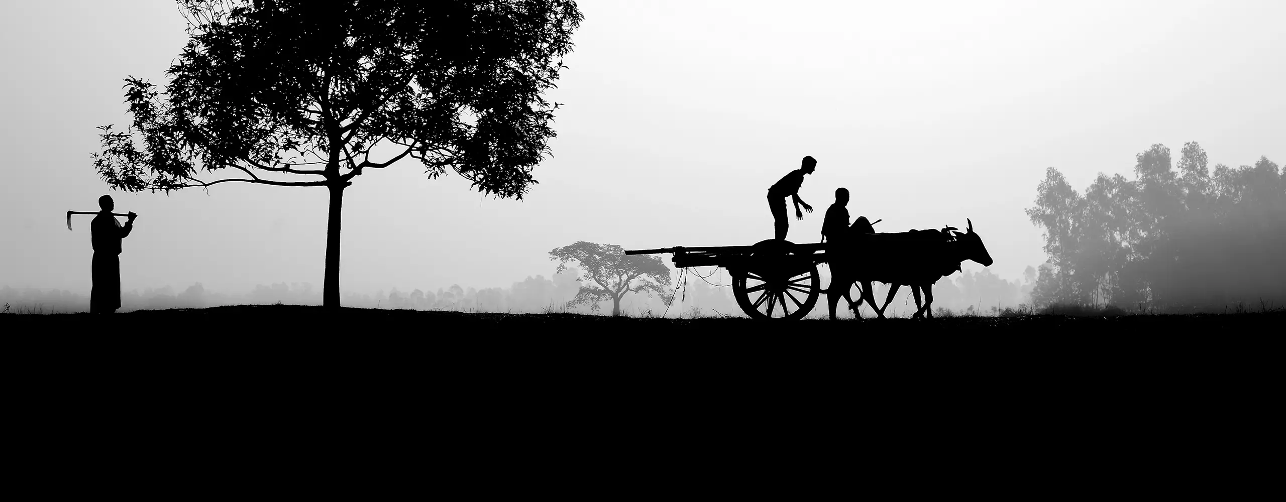 Travels