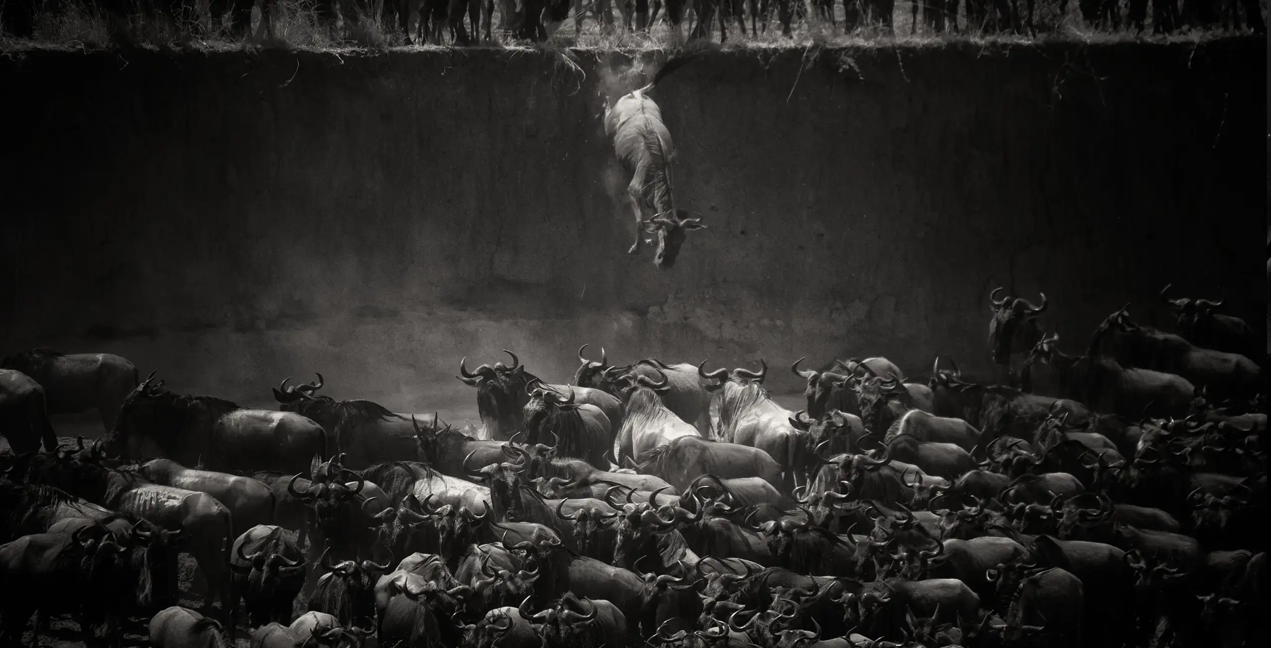 All About Photo Awards 2026 | &copy; Steve McCurry