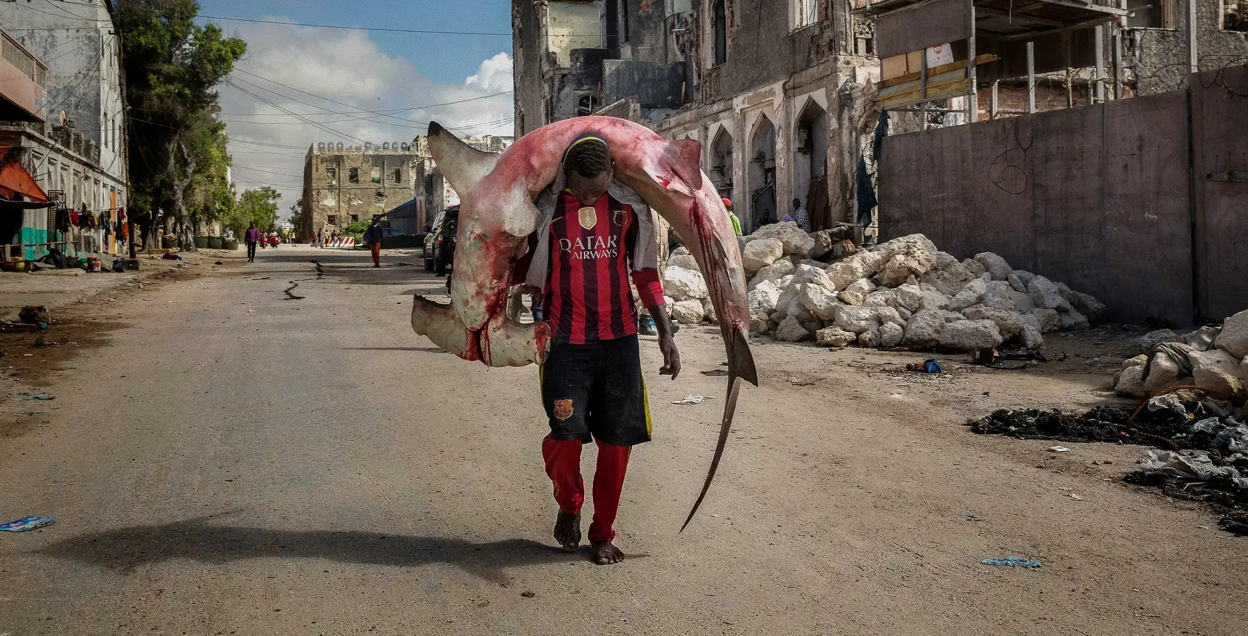 All About Photo Awards 2026 | &copy; Steve McCurry