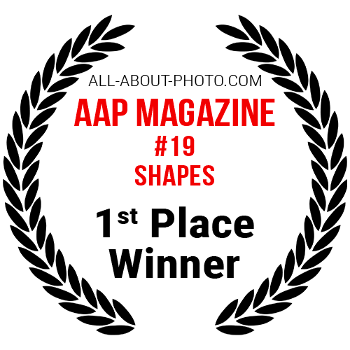 Shapes | First Place winner