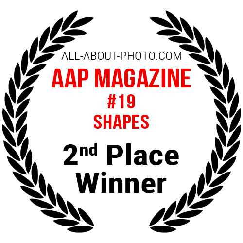 Shapes | Second Place Winner