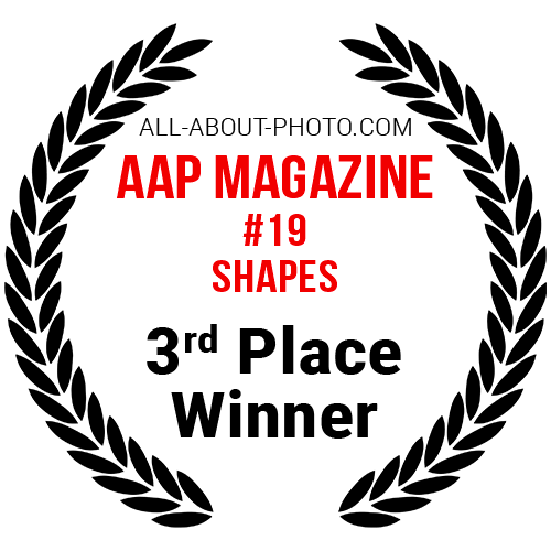 Shapes | Third Place Winner