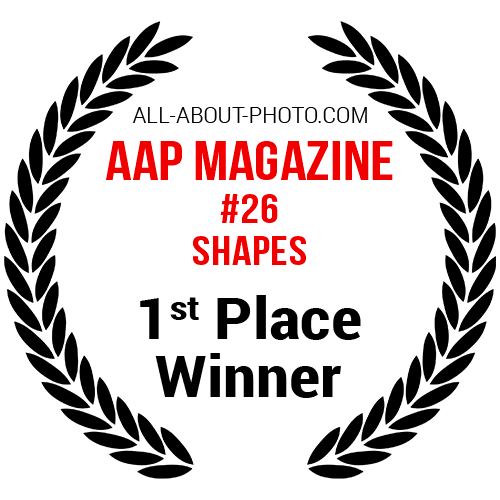 Shapes | First Place winner