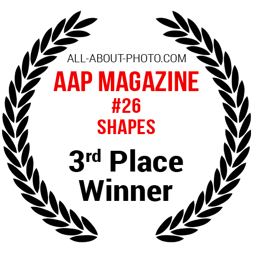 Shapes | Third Place Winner