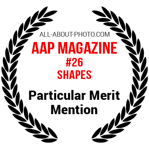 Shapes | Particular Merit Mention