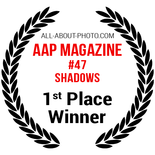 Shadows | First Place winner