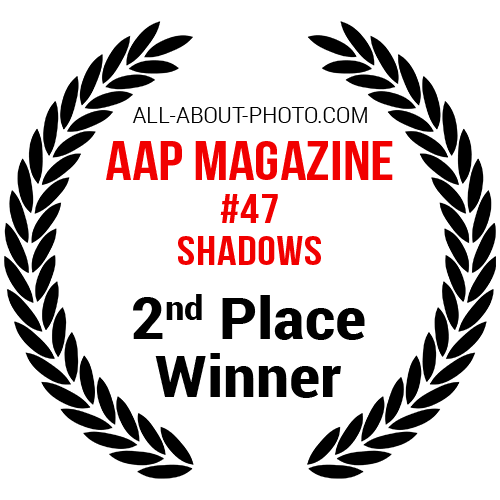 Shadows | Second Place Winner