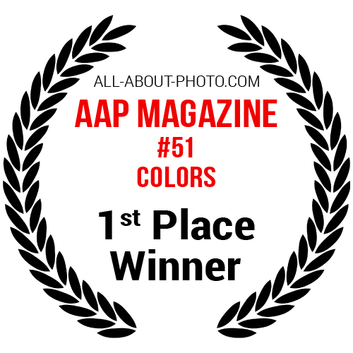 Colors | First Place winner