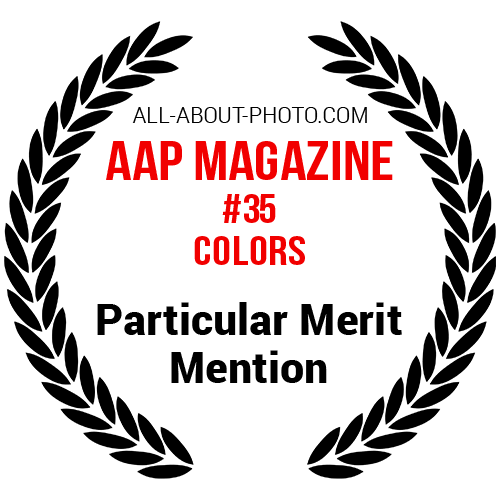 Colors | Particular Merit Mention