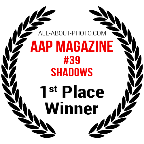 Shadows | First Place winner