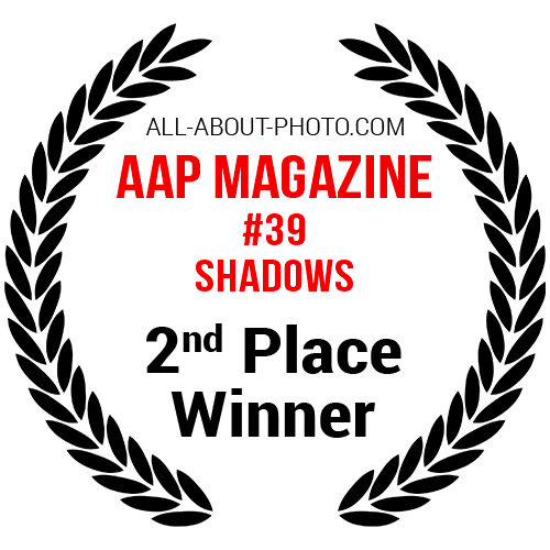 Shadows | Second Place Winner