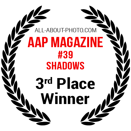 Shadows | Third Place Winner