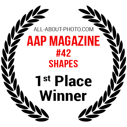 Shapes | First Place winner