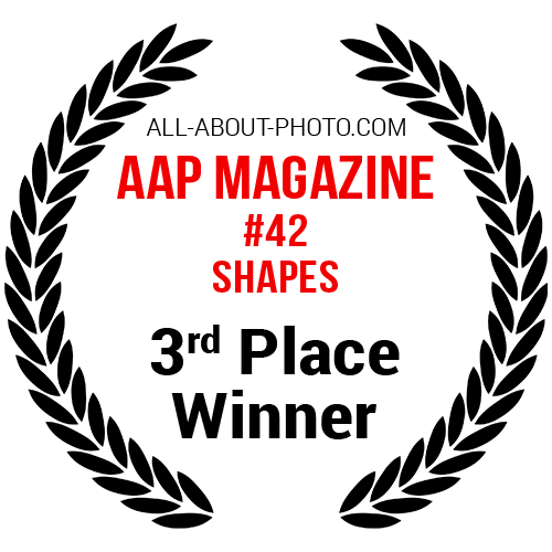 Shapes | Third Place Winner