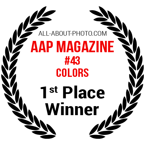 Colors | First Place winner