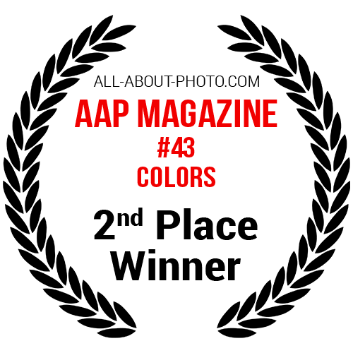 Colors | Second Place Winner