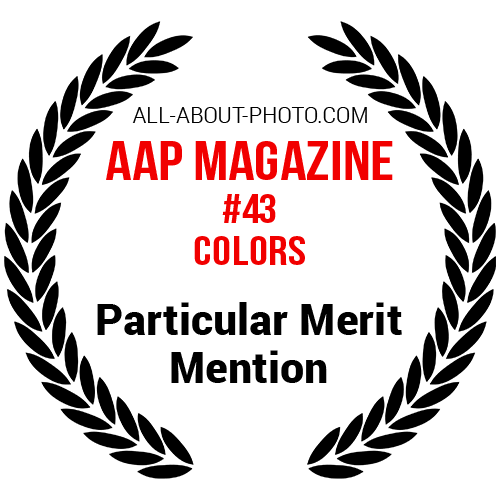 Colors | Particular Merit Mention