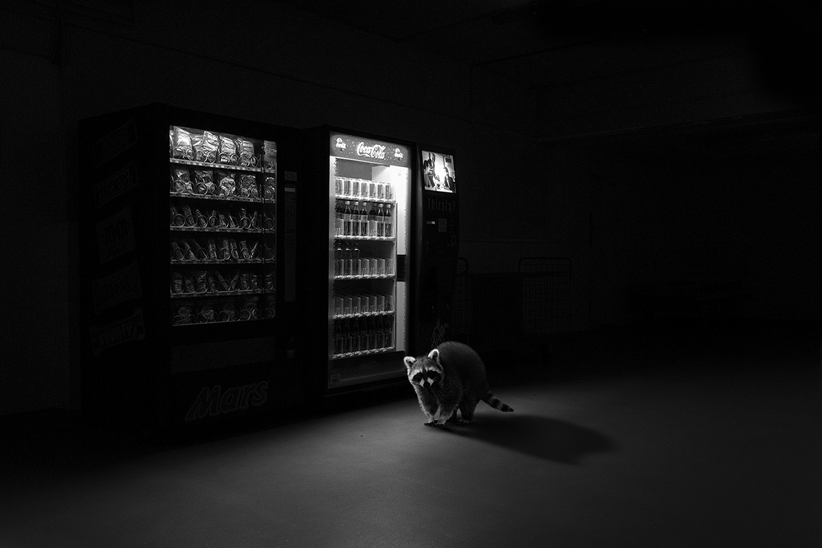 Jason McGroarty | 