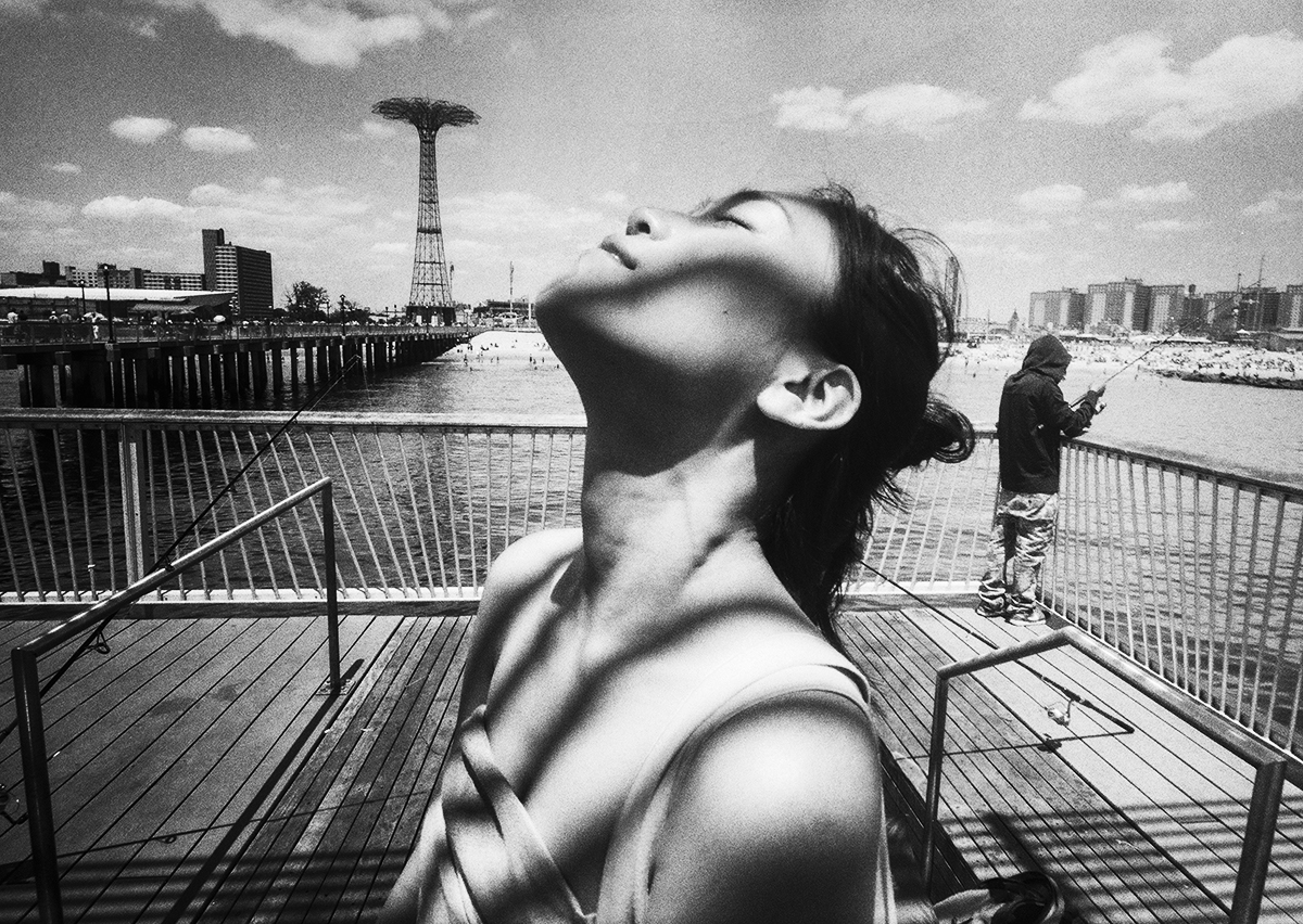 Harvey Stein | 