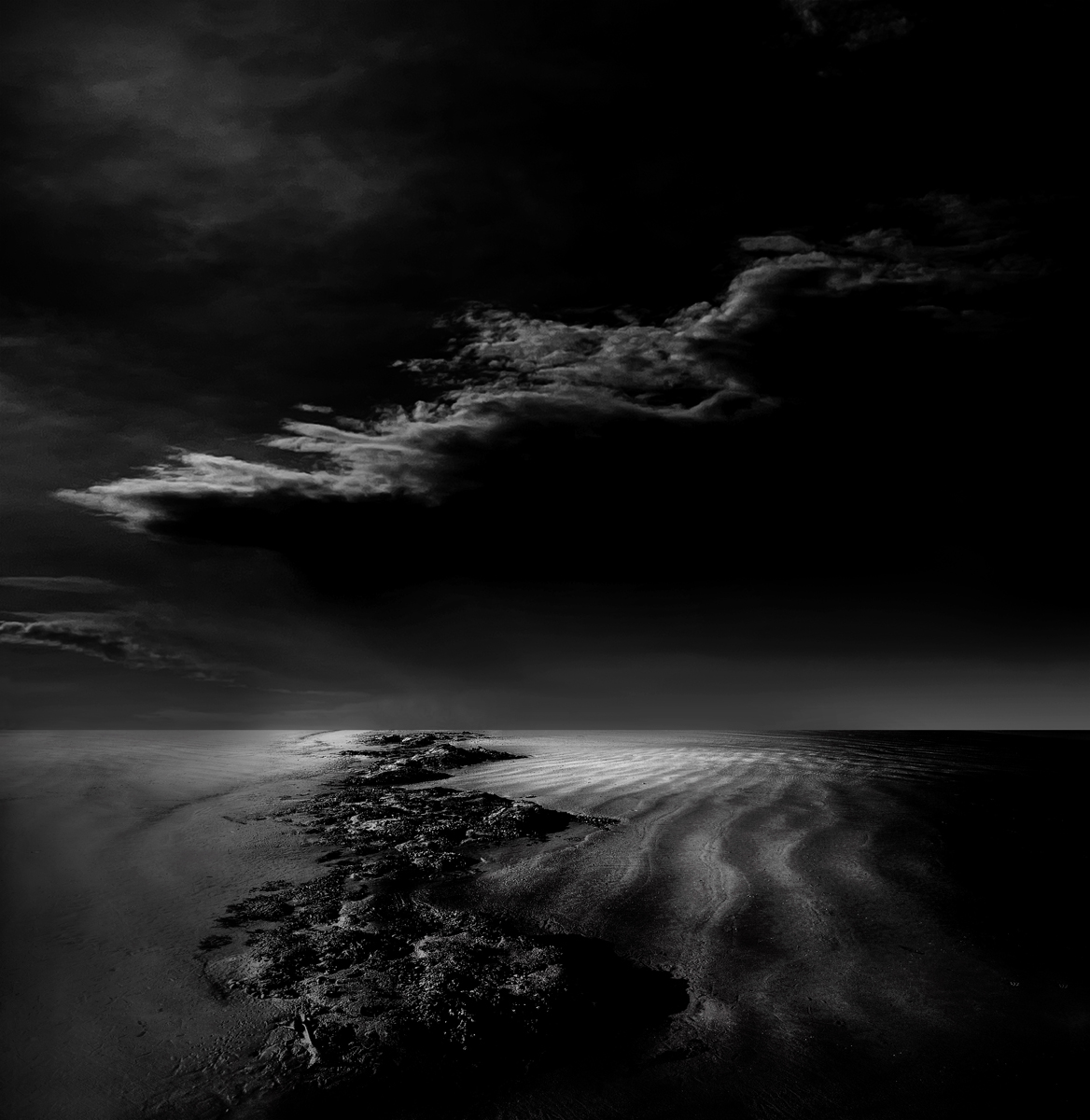 Margaret Halaby