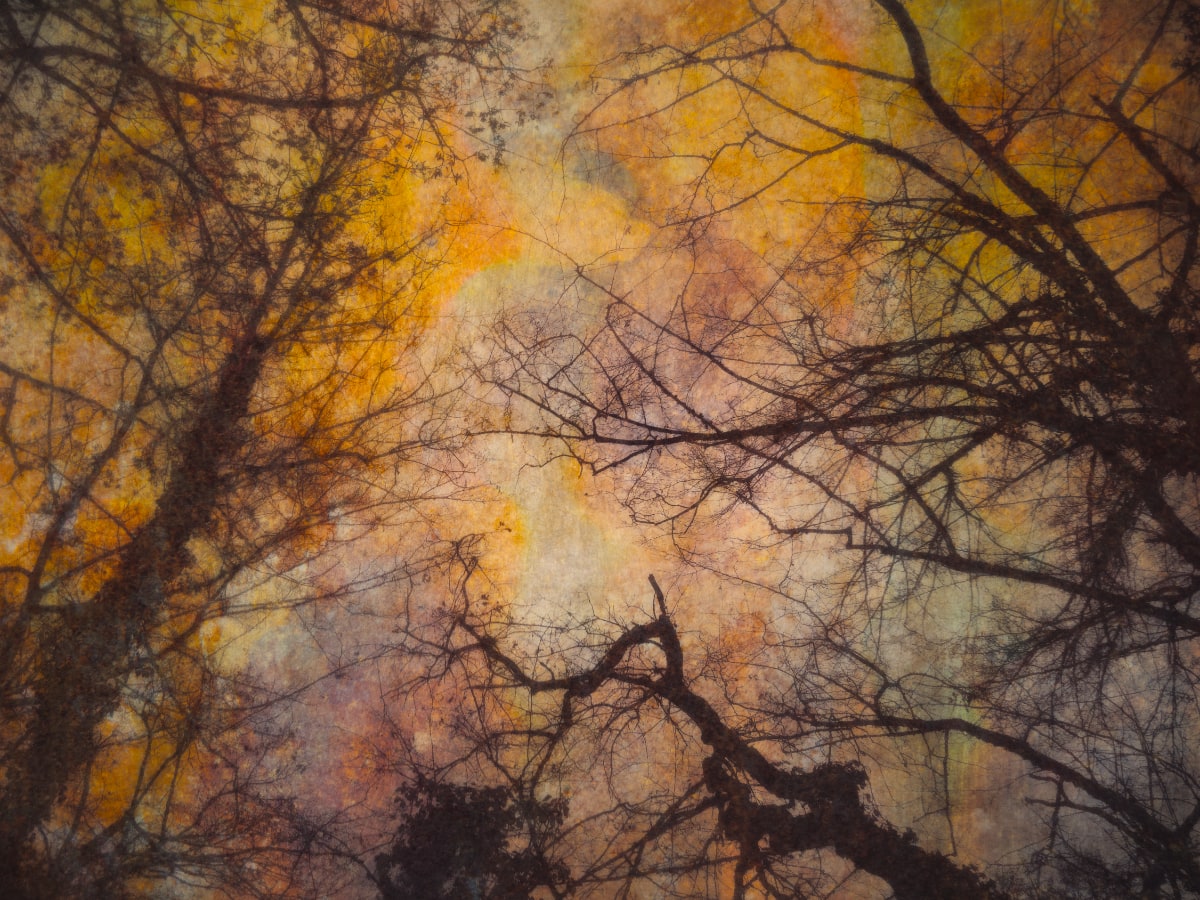 Thaddäus "hozzography" Biberauer