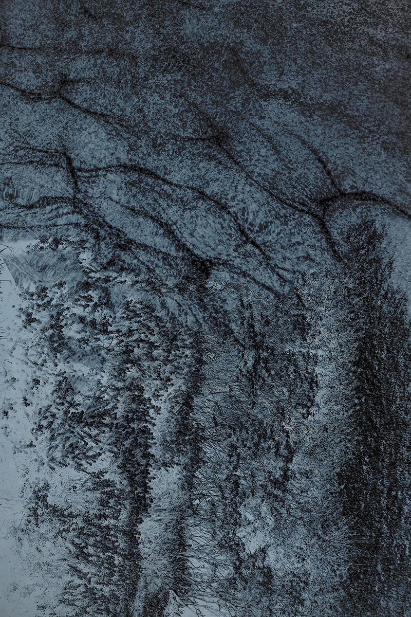 Alejandra Nowiczewski