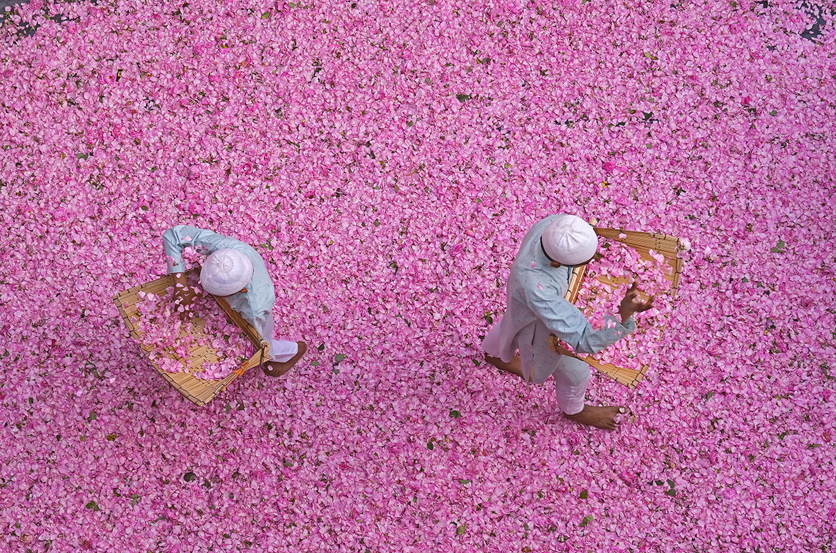 Somenath Mukhopadhyay