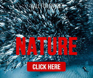 AAP Magazine #33: Nature