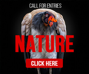 AAP Magazine #33: Nature