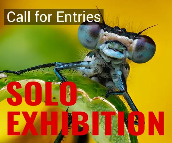 Win a Solo Exhibition this September