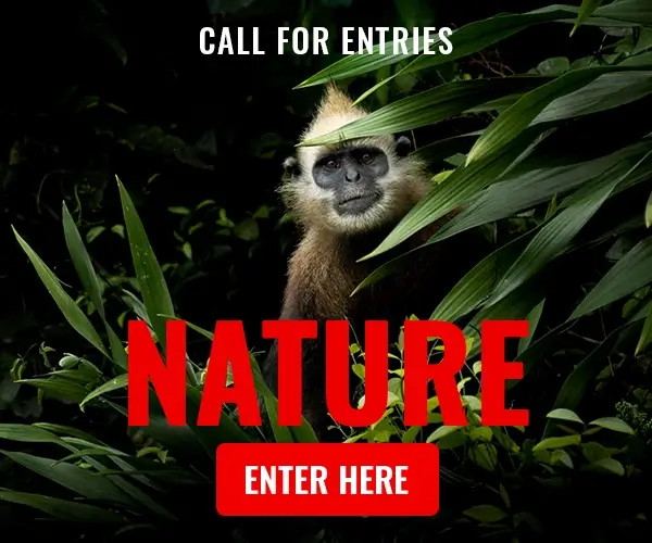 AAP Magazine #54 Nature