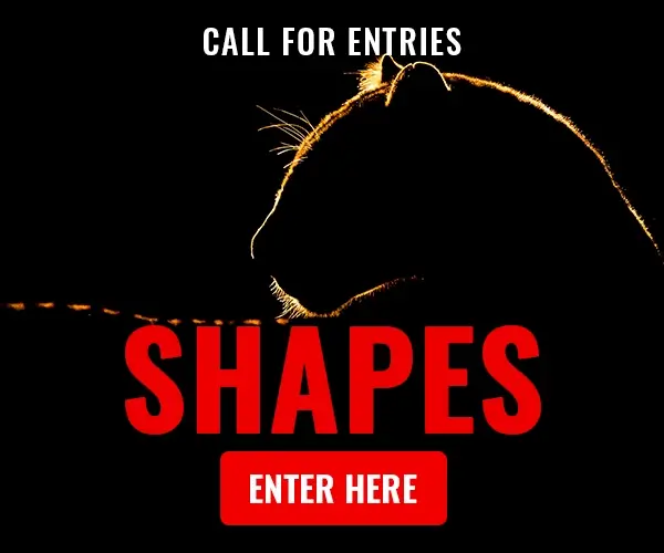 AAP Magazine #59 Shapes