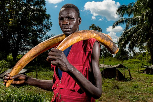 Brent Stirton