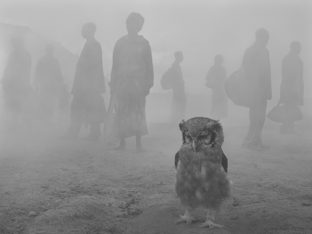 Nick Brandt