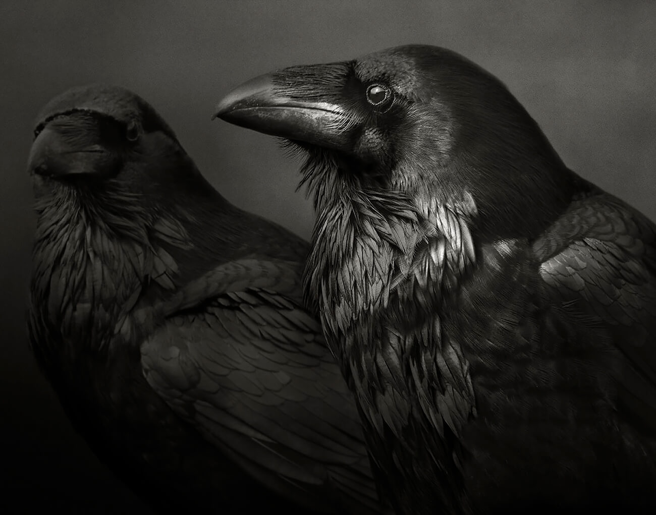 Beth Moon