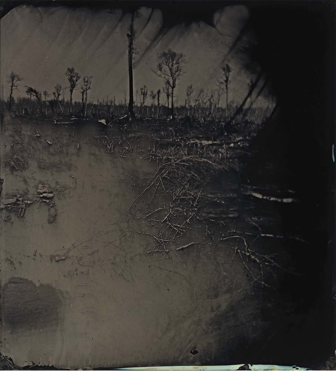 Sally Mann